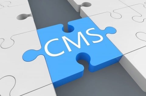 CMS（コンテンツ・マネジメント・システム）で企業ホームページを管理していれば、原稿があればすぐにお客様の声・事例ページを作成できる