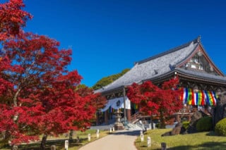 お寺・神社のイメージに合ったデザインにする