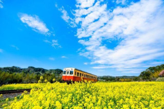 地方創生と地域全体の活性化 地方創生と地域全体の活性化
