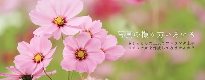 ホームページに適した写真の撮り方（Vol.2）～掲載時のサイズを意識した撮影～