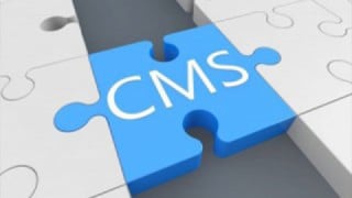 WordPressなどの無料CMSはなぜセキュリティ対策の問題が発生しやすいのか? WordPressなどの無料CMSはなぜセキュリティ対策の問題が発生しやすいのか?
