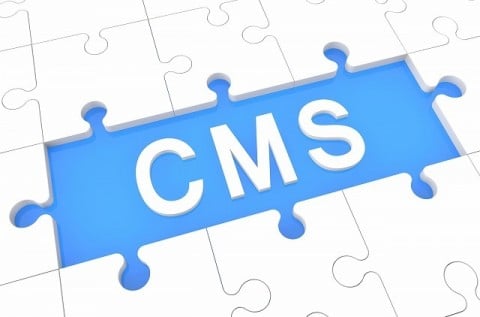 CMS（コンテンツ管理システム）を使うと、簡単に情報の更新・コンテンツ追加ができるので集客力も高めやすい