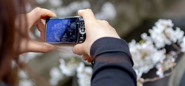 初心者でも簡単にカメラやスマホで良い構図の写真が撮影できるテクニック、三分割法とは？