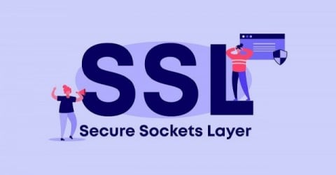 ホームページを閲覧する際は、インターネットを通してサーバー(データの保管庫)とのデータのやり取りがかならず発生する ホームページを閲覧する際は、インターネットを通してサーバー(データの保管庫)とのデータのやり取りがかならず発生する