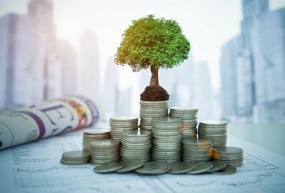 エバーグリーンコンテンツとは？　企業ホームページで永続的にアクセス数を増やす方法